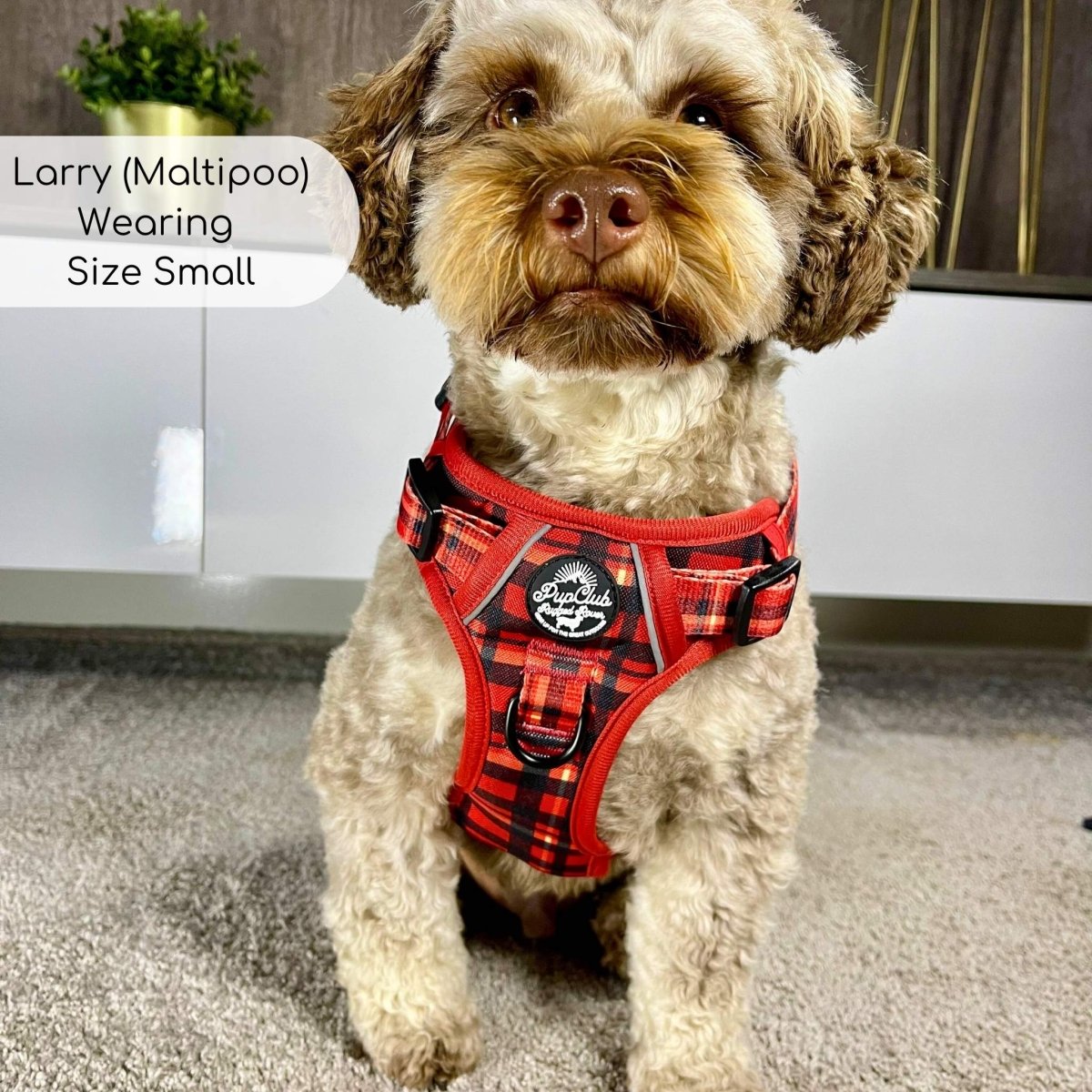 Rugged Rover™ red tartan dog harness with black buckles and logo chest patch