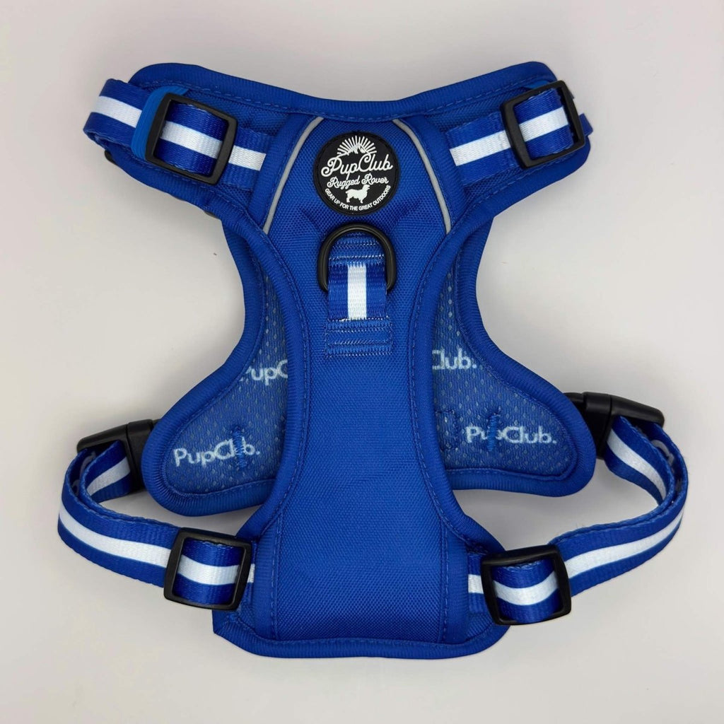 Royal blue dog harness with white stripe webbing and black buckle closures.