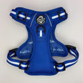 Royal blue dog harness with white stripe webbing and black buckle closures.