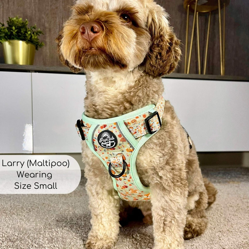 Mint woodland friends dog harness with logo patch and black buckle straps