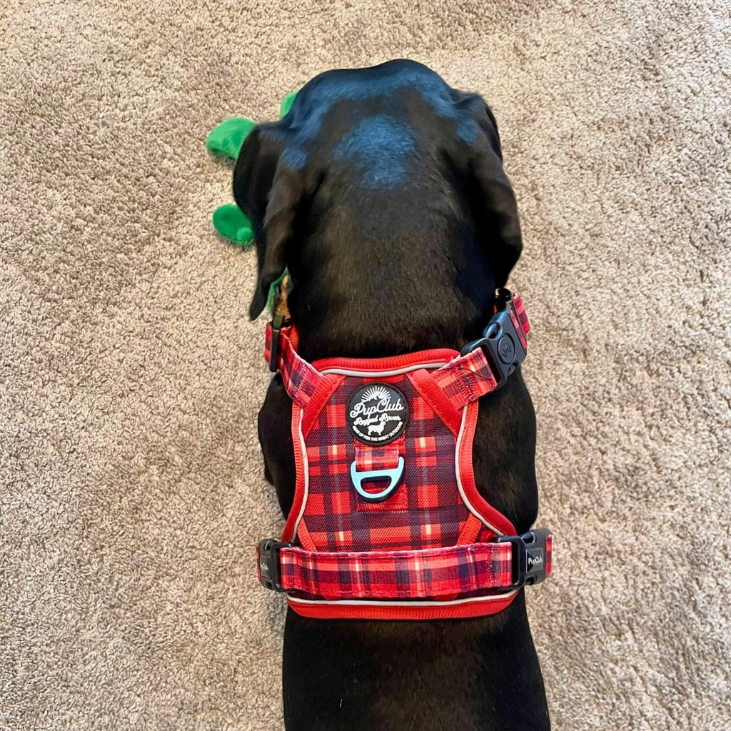 Rugged Rover™ red tartan dog harness with back strap, black buckles, and padded panel
