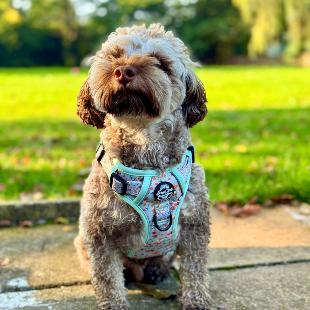 Mint harness with woodland friends pattern and black plastic leash rings