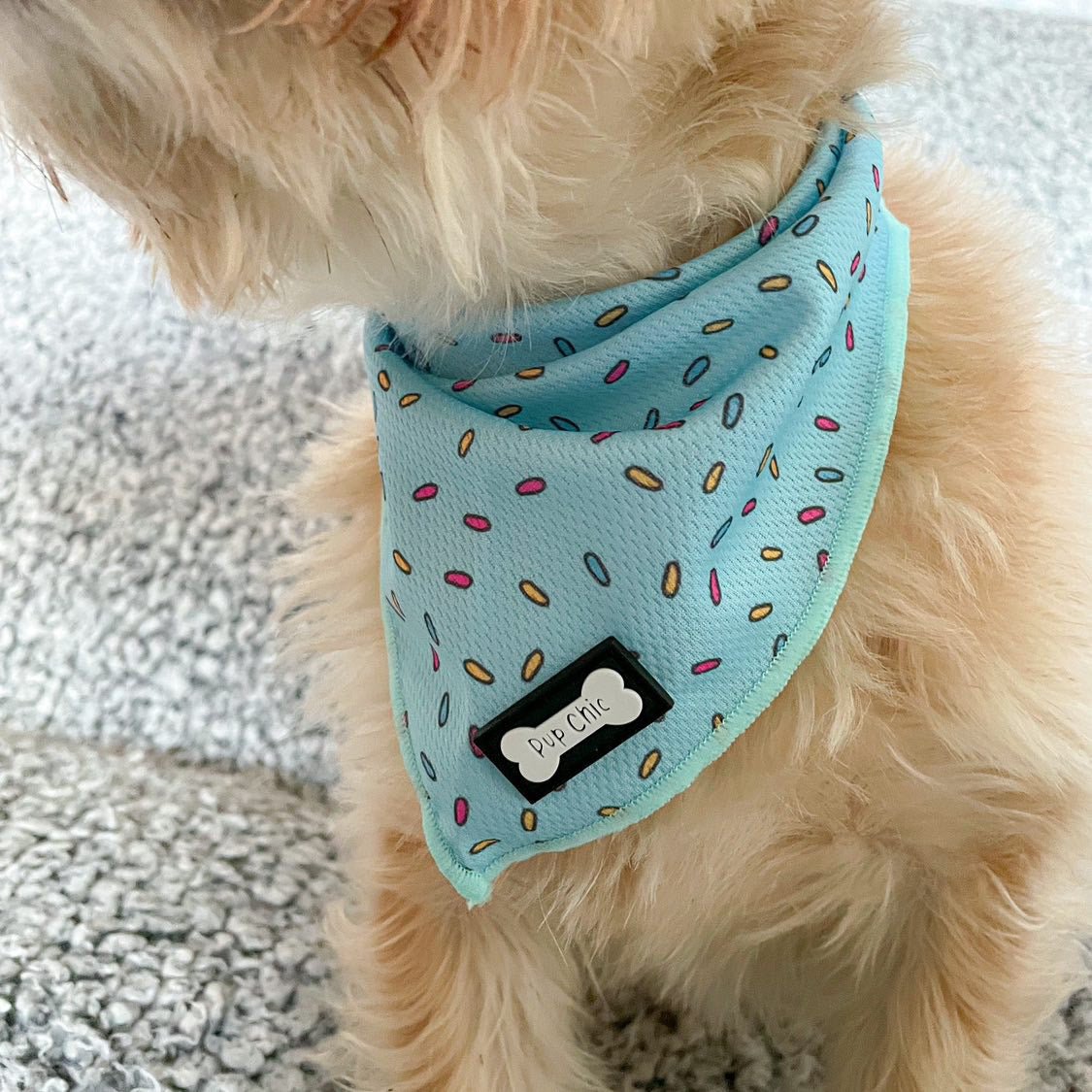 Sprinkles For Days Cooling Dog Bandana – Blue | Pup Chic Boutique