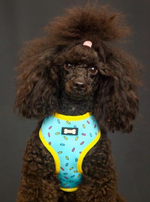 Sprinkles for Days reversible harness