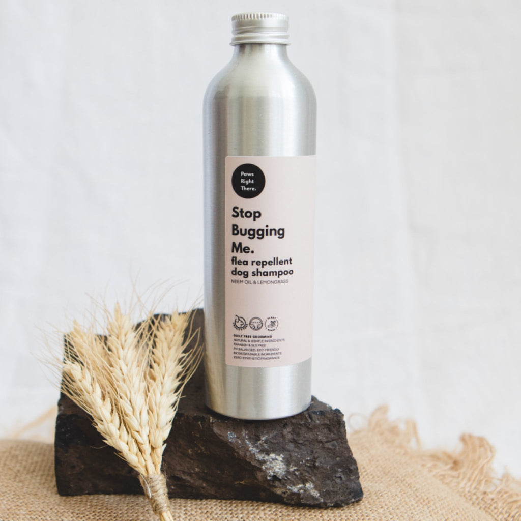 Silver dog shampoo bottle with white cap, labeled flea-repellent dog shampoo