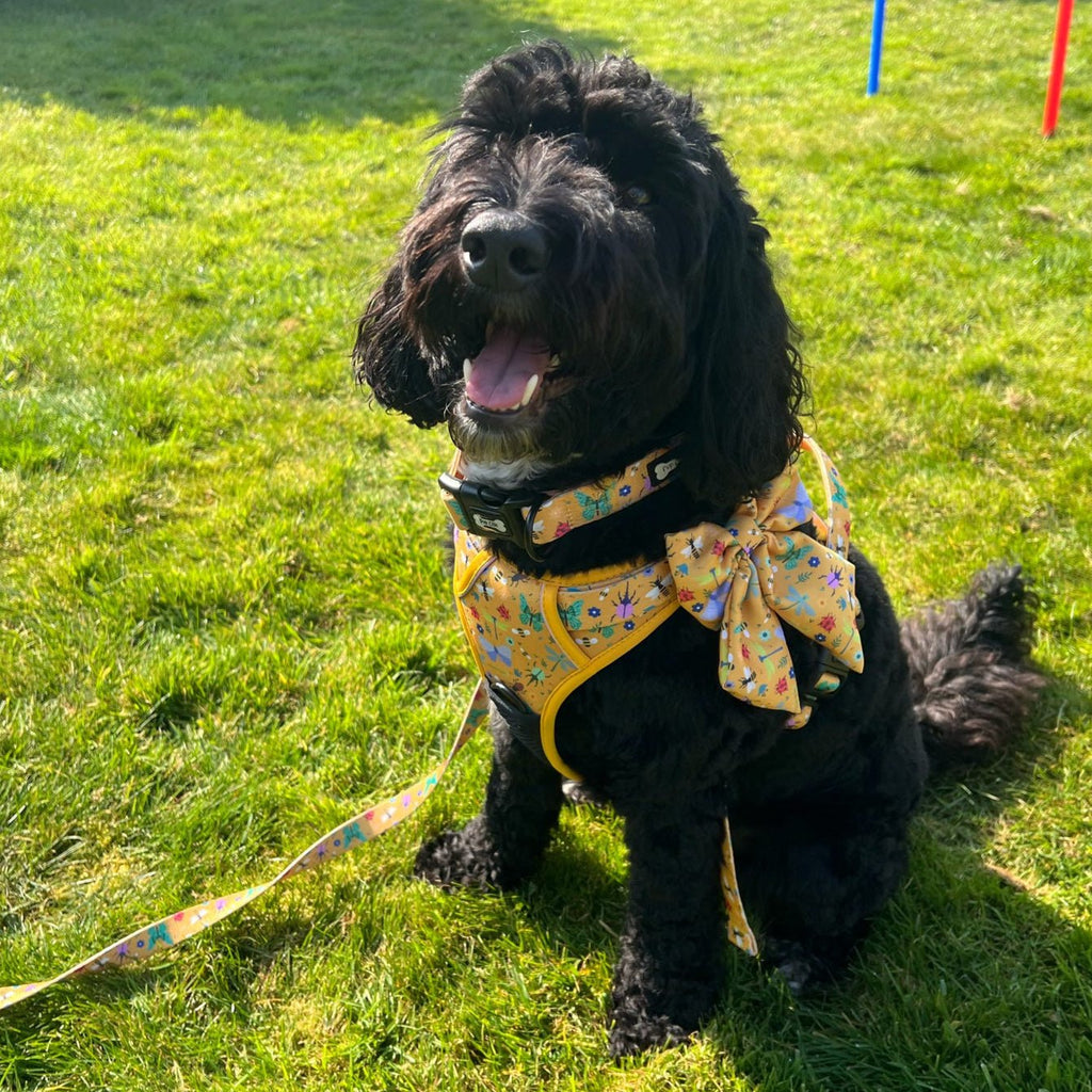Summer Buzzin' No Pull Tactical Dog Harness
