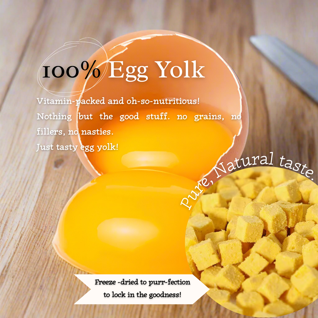 Tail Tips UK Yolky Drops - 100% Freeze-Dried Quail Egg Yolk Treats Gourmet Meal Enhancement for Pets