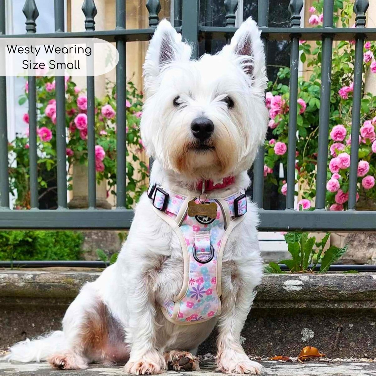 Floral padded dog harness with mesh lining and black buckles, adjustable neck and chest straps