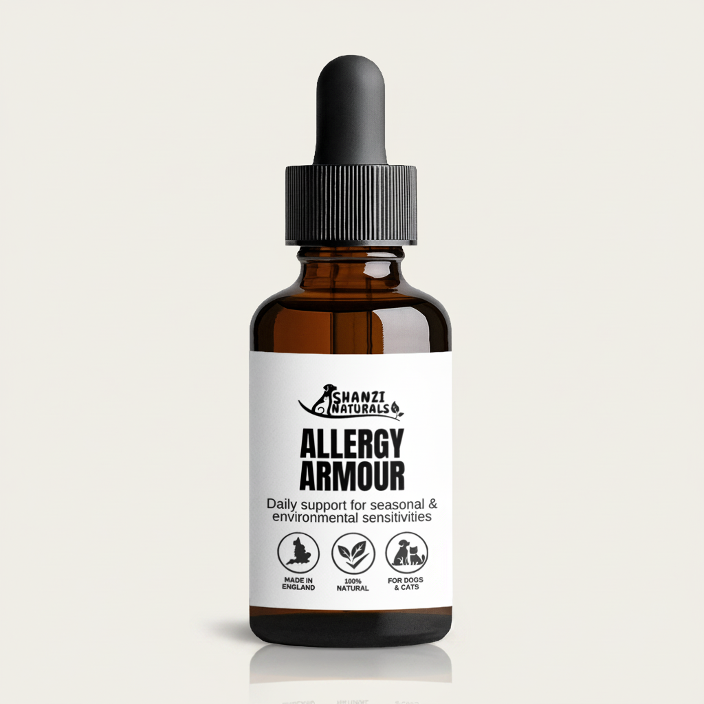 Brown tincture bottle with black dropper, Allergy Armour label facing forward