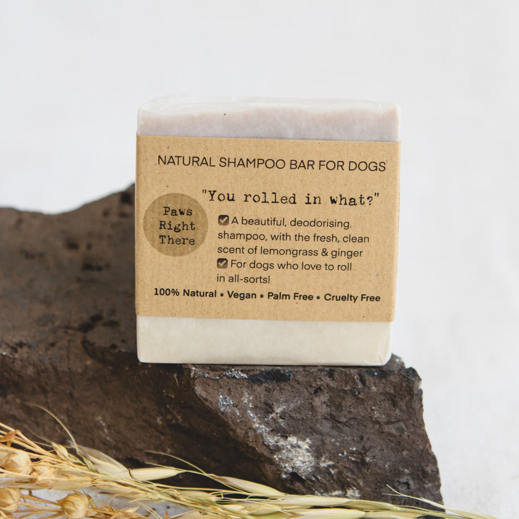 Tan natural dog shampoo bar with kraft label reading You rolled in what
